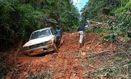 Gabon/Arrêt sur image! : Quelque part sur la route de Medouneu: