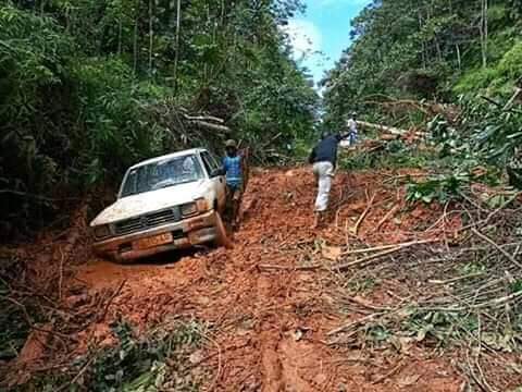 Gabon/Arrêt sur image! : Quelque part sur la route de Medouneu: