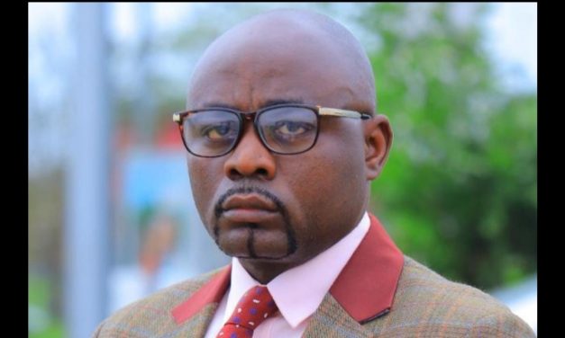 Gambie/Face à la maltraitance des panthères du Gabon: le point de vue d&rsquo;un compatriote