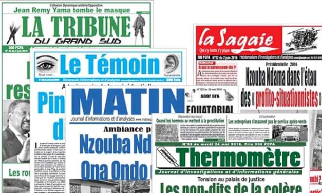 Gabon-Vie des médias :GMCD, un arbre qui cache la forêt
