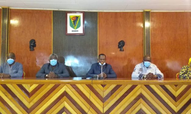 Gabon/Conflit homme-faune: Le conseil économique, social et environnemental en quête des avis des populations du Woleu-Ntem