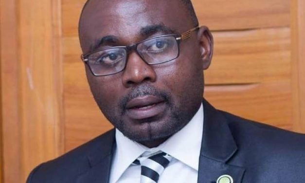 Gabon/Formation-MCCA-FADEC: Francis Edgard Sima Mba Participant