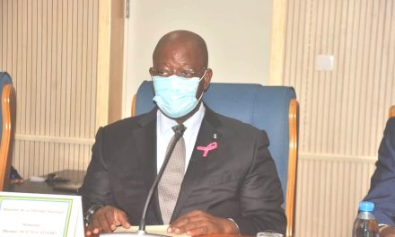 Retrait des casques bleus gabonais en RCA: le Ministre de la défense auditionné à l’Assemblée Nationale
