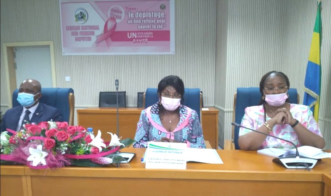 Gabon/Cancers féminins : Le réseau national des femmes députés sensibilisées
