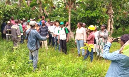 Woleu-Ntem: Des échanges pour redynamiser la culture du cacao dans la localité