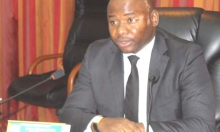Gabon/Nomination au sein des organes du Parti Démocratique Gabonais: Steeve NZEGHO DIEKO nouveau Secrétaire Général