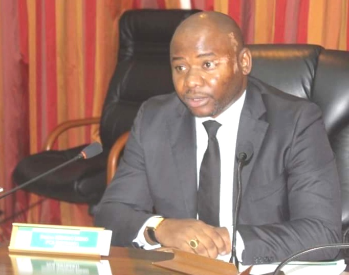 Gabon/Nomination au sein des organes du Parti Démocratique Gabonais: Steeve NZEGHO DIEKO nouveau Secrétaire Général