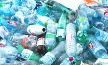 Journée mondiale du recyclage: La Sobraga met en avant son engagement citoyen et environnemental dans la gestion des déchets