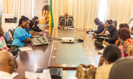 Gabon: Le gouvernement met en place une stratégie visant une gestion rationnelle des ARV dans les différents CTA