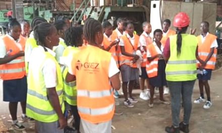 Gabon/Journée nationale de la femme gabonaise: ARISE IIP & IS offrent une visite guidée pour découvrir les métiers de Nkok en faveur des jeunes filles des lycées