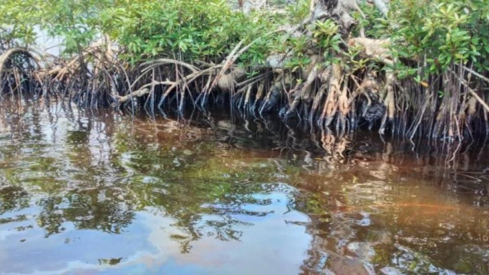 Gabon: Le ROLBG confirme sa détermination à se tenir aux côtés des communautés victimes des effets néfastes de pollution de Perenco