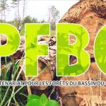 Gabon: Le Gabon abrite la 19e réunion des Parties du Partenariat pour les Forêts du Bassin du Congo (PFBC)