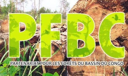 Gabon: Le Gabon abrite la 19e réunion des Parties du Partenariat pour les Forêts du Bassin du Congo (PFBC)
