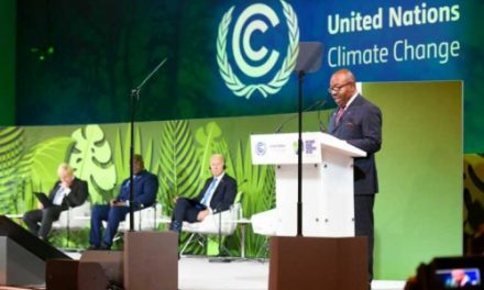 Nations Unies: Le Gabon certifié au crédit carbone