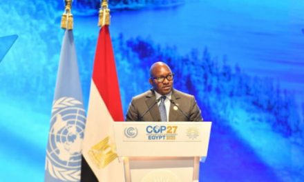 COP27 : « Le monde doit se lever pour soutenir nos efforts de paix et de sécurité et ainsi mieux protéger nos écosystèmes » (Sama Lukonde)