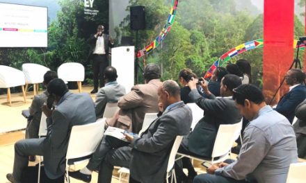 L’AGEOS fait la promotion du Système national d’observation des ressources naturelles et des forêts (SNORNF) du Gabon