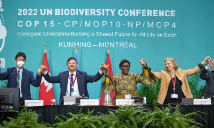 Cop15: Vers un nouveau cadre mondial pour la biodiversité