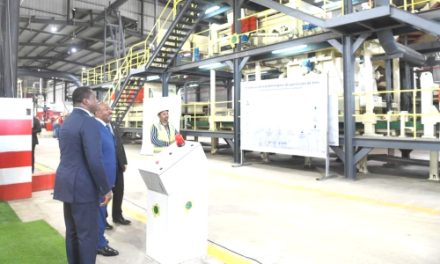 Afrique Centrale: Le Gabon inaugure la première usine de fabrication de panneaux de particules de bois