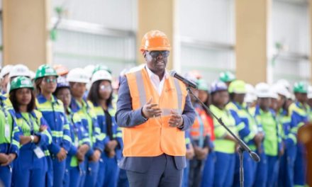Gabon: Le Ministre Elvis Ossindji se réjouit des nouvelles installations sur le site du Port Minéralier d’Owendo