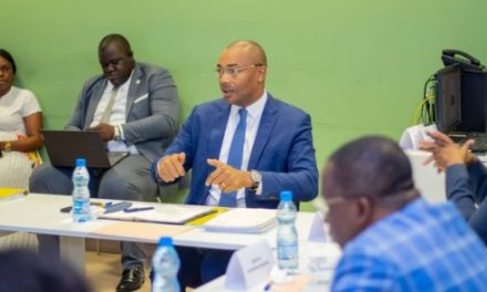 Gabon/Santé: Le Comité de pilotage du CHUMEFJE se réjouit des résultats de la pratique de la Procréation médicalement assisté (PMA)