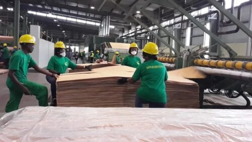 Éditorial/Performance: GSEZ-la croissance de l’industrie du bois au Gabon a atteint plus de 350 % !