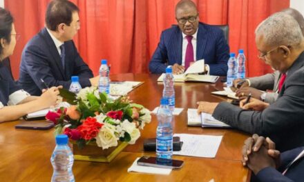 Gabon: Une délégation de la Société China Investment Holding chez le ministre Jean Pierre Doukaga Kassa