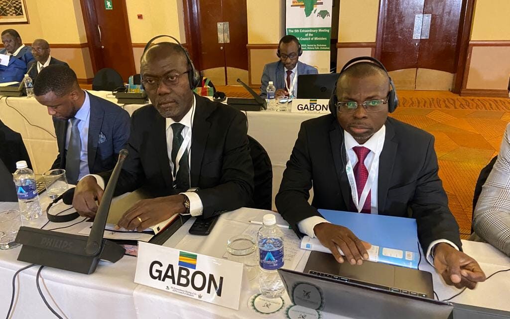 Conseil des Ministres de l’Association des pays Africains Producteurs de diamant (ADPA): La restructuration de l’Association à l’ordre du jou
