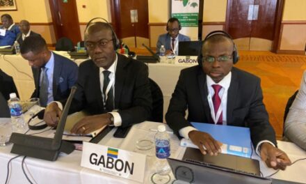 Conseil des Ministres de l’Association des pays Africains Producteurs de diamant (ADPA): La restructuration de l’Association à l’ordre du jou