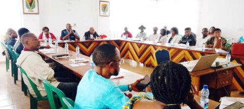 Gabon: Oyem, les jeunes et femmes formés sur leur implication dans la politique