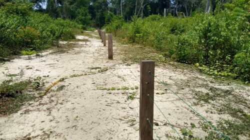 Gabon/Conflit Homme-Éléphants: Poursuite de l’installation des clôtures électriques sur toute l’étendue du territoire national