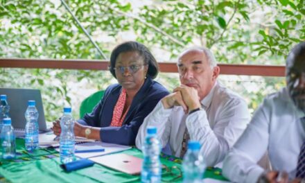 Gabon:13ème réunion du comité d’orientation stratégique (COS) de l’accord de convention de dette