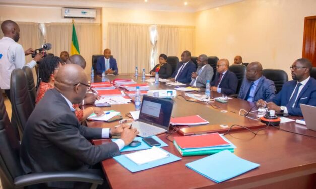 Gabon/Comité de pilotage du Programme d’aide aux AGR: Une réponse concrète du Président Ali Bongo Ondimba