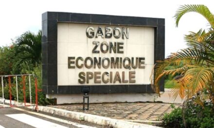 Afrique Centrale: La ZIS du Gabon, un Pôle d’excellence économique de la sous-région