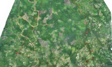 Gabon/Litiges foncier à Ntoum : Les habitants de MEKONANAM contre Société GIMBTP Sarl