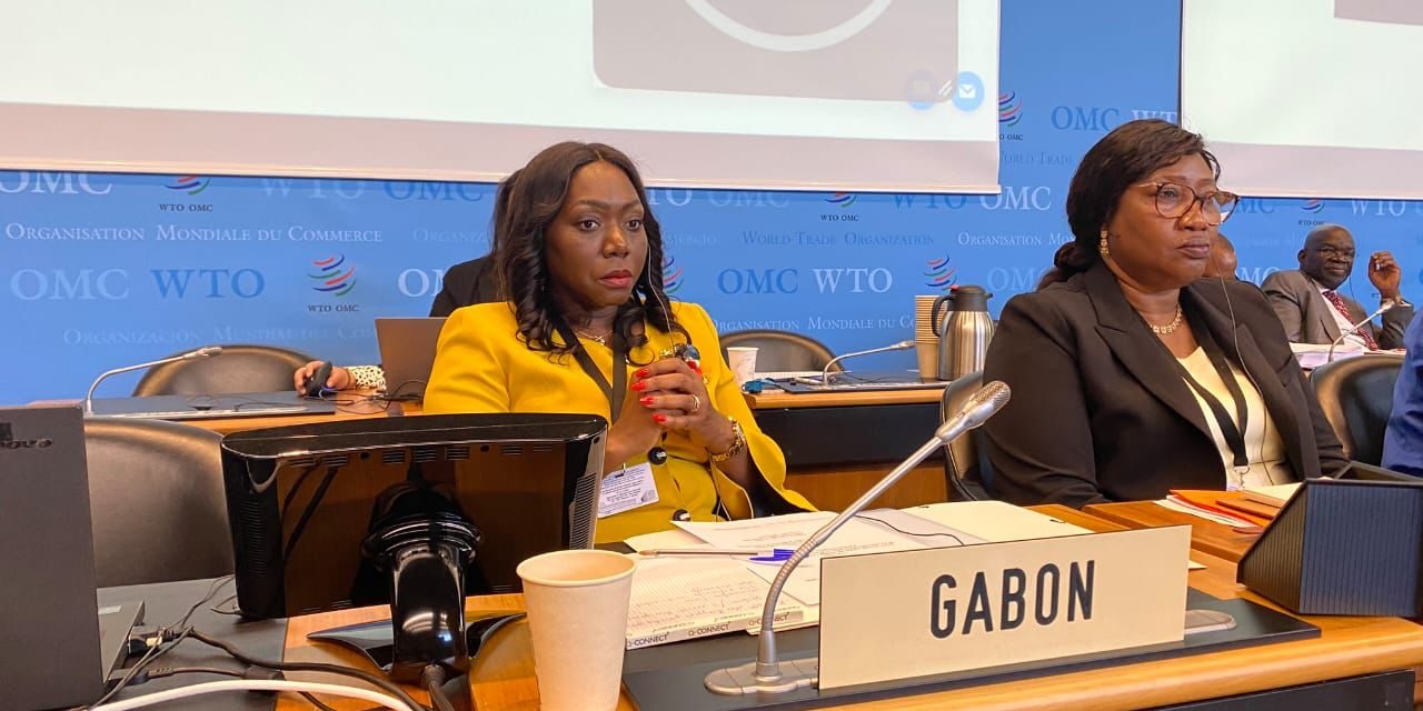 Genève: Patricia Djipano Ep. Mouloungui, Ministre du Commerce, des PME/PMI…, présente aux tavaux du 2e examen conjoint des politiques commerciales des pays de la (CEMAC)