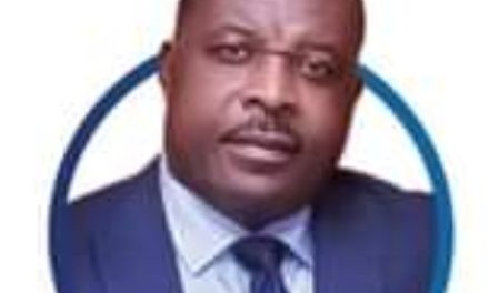 Gabon: Max Olivier Obame nouveau porte parole de la présidence de la République