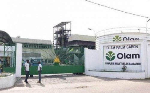 Olam Palm Gabon: Reprise des activités sur l’ensemble des sites