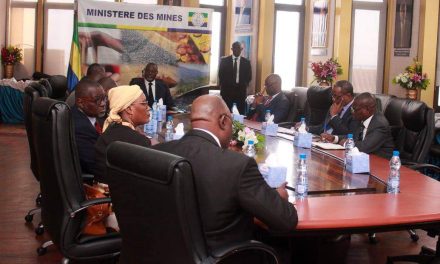 🔴Projet de construction de Libreville 2: L’Ordre National des Architectes sollicite l’appui technique du Ministère des Mines