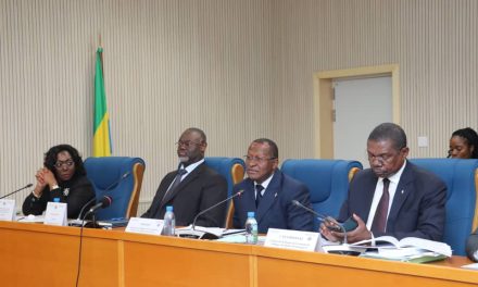 Audition du Ministre des Mines à l’Assemblée Nationale: Hervé Patrick Opiangah Présente le Projet de Budget 2024