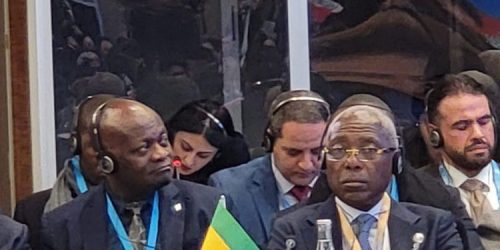 Le Gabon, un leader mondial dans la préservation de l’environnement : le rôle crucial des parlementaires