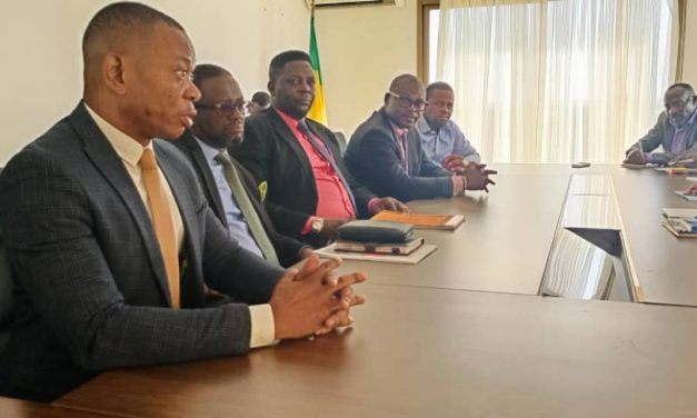 Gabon: Renforcement de la Collaboration Entre le Ministère de l’Industrie et la CGPMEI