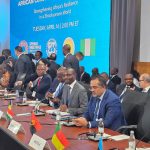 Les pays africains appellent à une action multilatérale pour renforcer la résilience économique