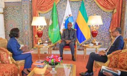 Gabon: Le Chef de l’Etat s’entretient avec le ministre de la Fonction Publique