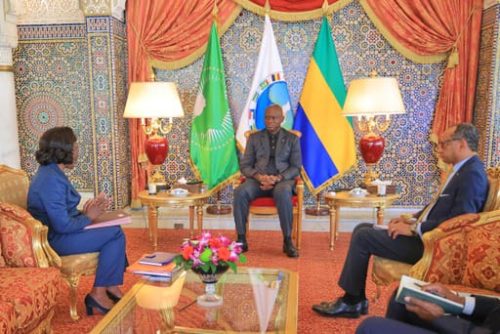Gabon: Le Chef de l’Etat s’entretient avec le ministre de la Fonction Publique