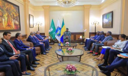 Gabon: Le Chef de l’État échange avec le Directeur projets de la société Infragroup