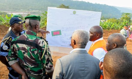 Le Président de la République s’engage à résoudre les défis locaux lors de sa visite à Dienga, Pana et Lastourville