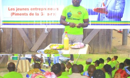 Une nouvelle association pour l’entreprenariat des jeunes voit le jour à Koulamoutou