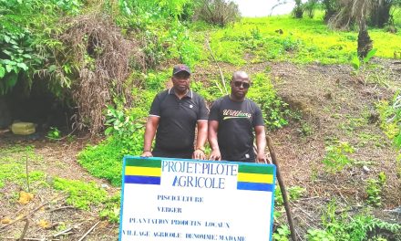 Initiative Agricole à Koulamoutou : Le Projet Zita Olingui Nguema Suscite l’Encouragement et l’Espoir
