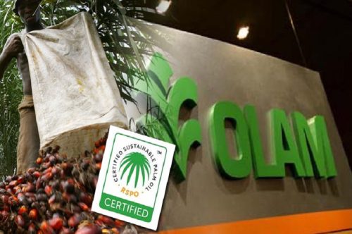 « Urgence de dialogue entre l’État gabonais et les groupes Olam et Arise : préserver l’emploi et améliorer les pratiques »