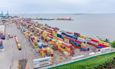 Afrique Centrale/Gabon: Owendo Container Terminal Renforce ses Capacités avec l’Arrivée de Sept Nouveaux Portiques